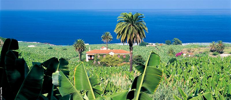 Mon Frech Club Canaries Los Alisios 3*